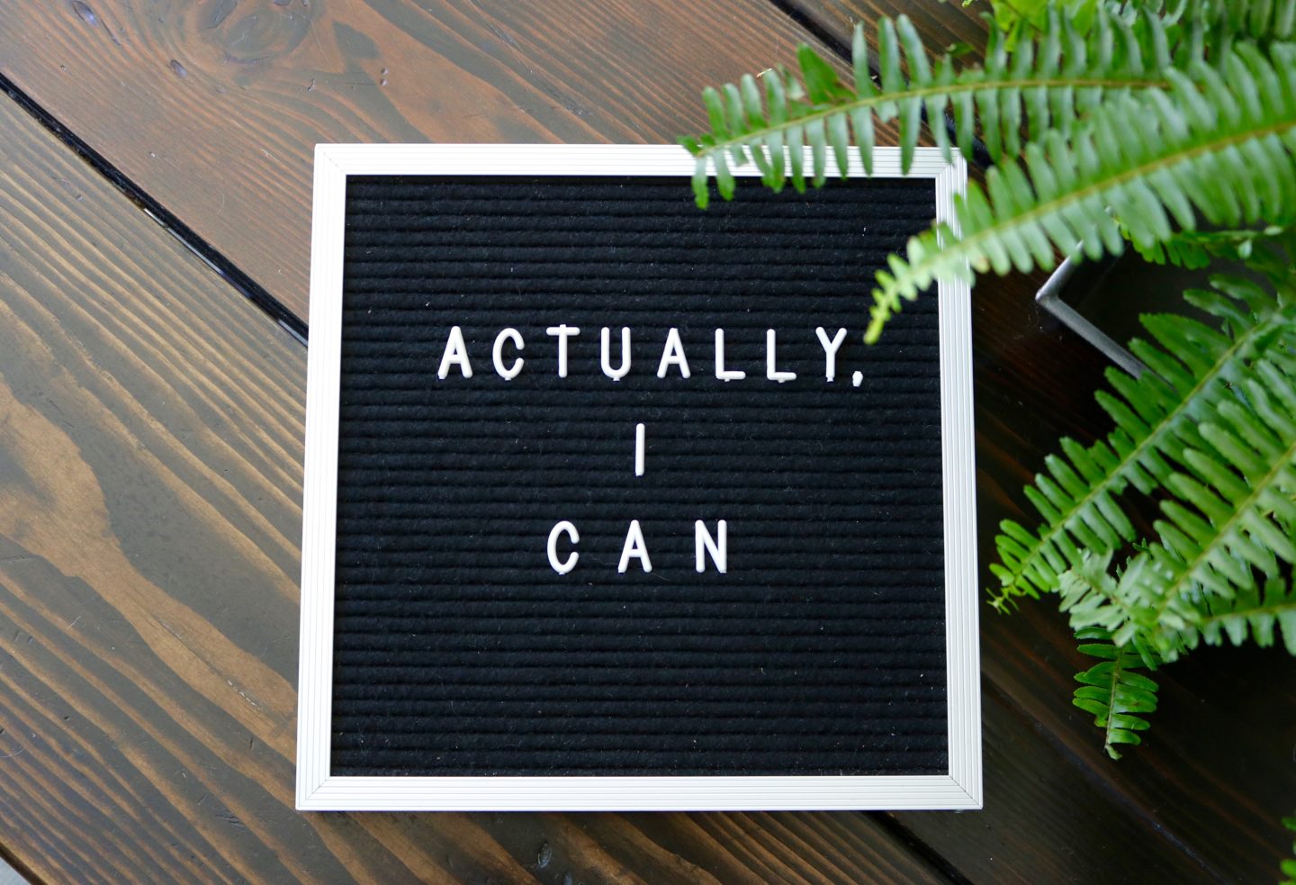 Actually, I can.